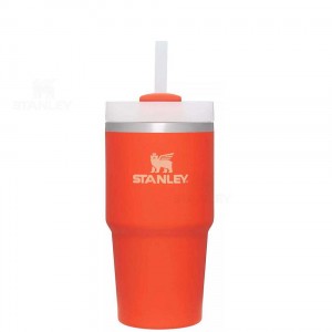 Stanley The Quencher H2.0 FlowState™ | 20 OZ Tumblers | Nederland_S1678
