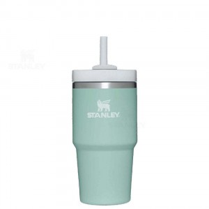 Stanley The Quencher H2.0 FlowState™ | 20 OZ Tumblers | Nederland_S2285