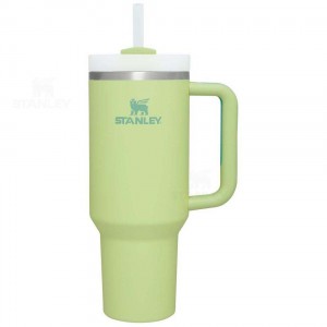 Stanley The Quencher H2.0 FlowState™ | 40 OZ Tumblers | Nederland_S1971