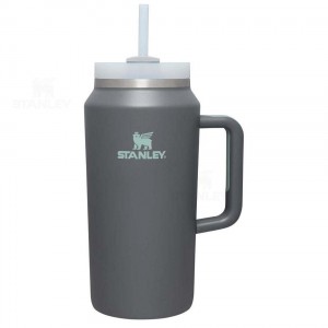 Stanley The Quencher H2.0 FlowState™ | 64 OZ Tumblers | Nederland_S1071