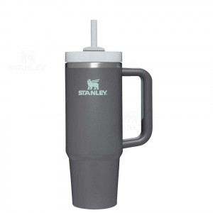 Stanley The Quencher H2.0 Flowstate™ | 30 OZ Tumblers | Nederland_S1651