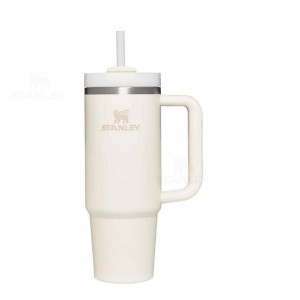 Stanley The Quencher H2.0 Flowstate™ | 30 OZ Tumblers | Nederland_S1041