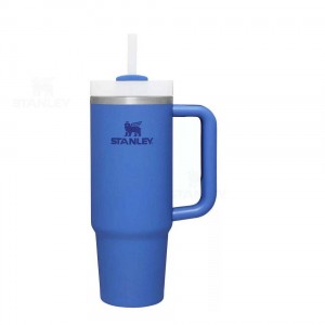 Stanley The Quencher H2.0 Flowstate™ | 30 OZ Tumblers | Nederland_S1013
