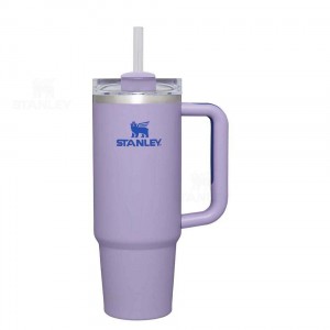 Stanley The Quencher H2.0 Flowstate™ | 30 OZ Tumblers | Nederland_S1660