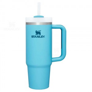 Stanley The Quencher H2.0 Flowstate™ | 30 OZ Tumblers | Nederland_S1522