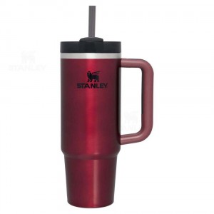Stanley The Quencher H2.0 Flowstate™ | 30 OZ Tumblers | Nederland_S1652