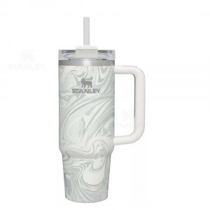 Stanley The Quencher H2.0 Flowstate™ | 30 OZ Waterflessen | Nederland_S1179