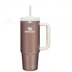 Stanley The Quencher H2.0 Flowstate™ | 30 OZ Waterflessen | Nederland_S1453