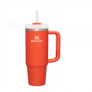Stanley The Quencher H2.0 Flowstate™ | 30 OZ Waterflessen | Nederland_S1909