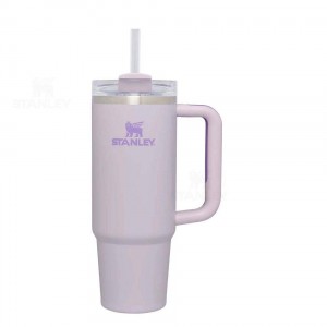 Stanley The Quencher H2.0 Flowstate™ | 30 OZ Waterflessen | Nederland_S1104