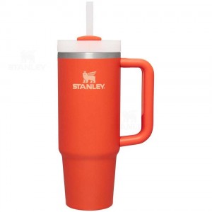 Stanley The Quencher H2.0 Flowstate™ | 30 OZ Tumblers | Nederland_S1240