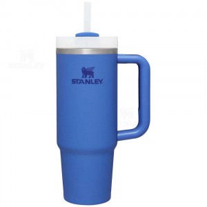 Stanley The Quencher H2.0 Flowstate™ | 30 OZ Tumblers | Nederland_S1730