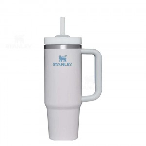 Stanley The Quencher H2.0 Flowstate™ | 30 OZ Tumblers | Nederland_S1488