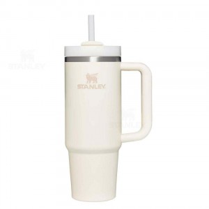 Stanley The Quencher H2.0 Flowstate™ | 30 OZ Tumblers | Nederland_S1276