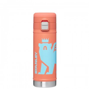 Stanley The Wild Imagination Flowsteady™ Big Bear | 17 OZ Waterflessen | Nederland_S1876