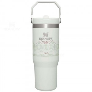 Stanley Winterscape IceFlow™ Flip Straw | 30 OZ Tumblers | Nederland_S1144